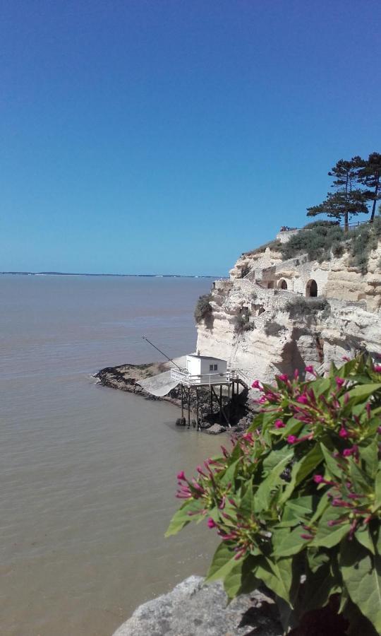 Gite Le Cozillon Cozes Exterior photo